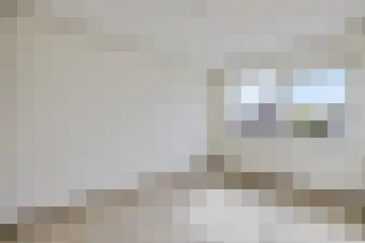 Kastanjeleane 53 Stiens thumbnail 19