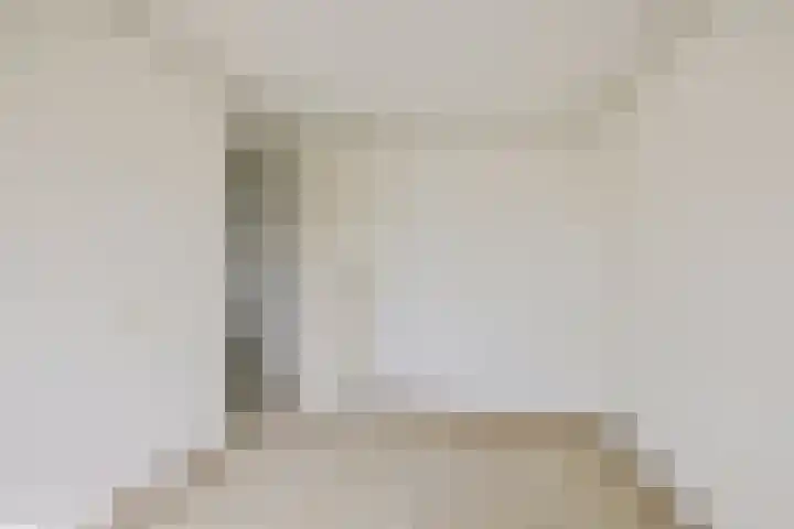 Kastanjeleane 53 Stiens thumbnail 20