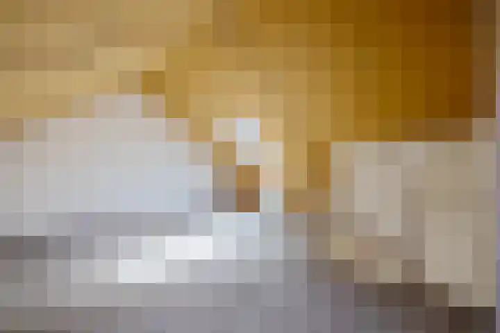 Kastanjeleane 53 Stiens thumbnail 23
