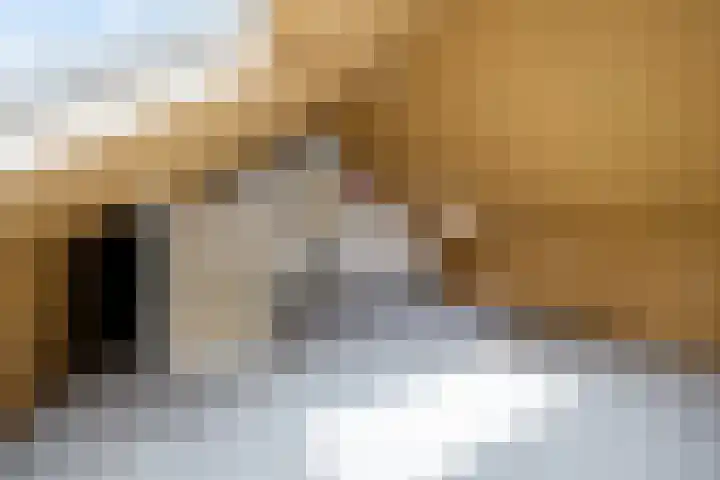 Kastanjeleane 53 Stiens thumbnail 24
