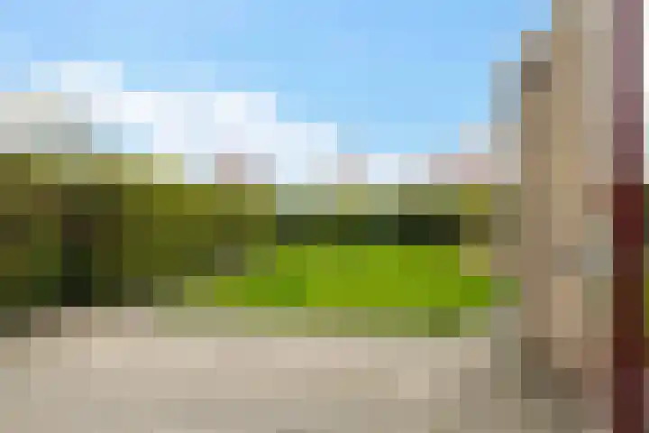 Kastanjeleane 53 Stiens thumbnail 25