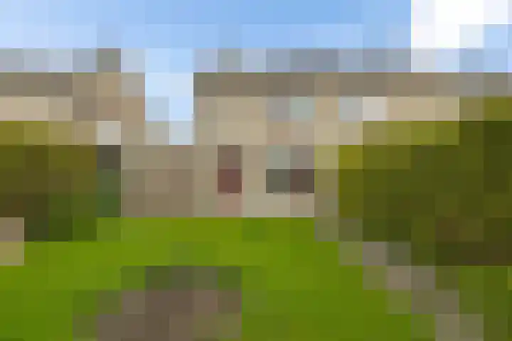 Kastanjeleane 53 Stiens thumbnail 27