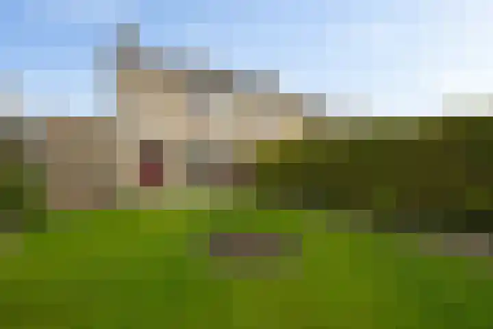 Kastanjeleane 53 Stiens thumbnail 28