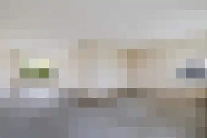 Kastanjeleane 53 Stiens thumbnail 4