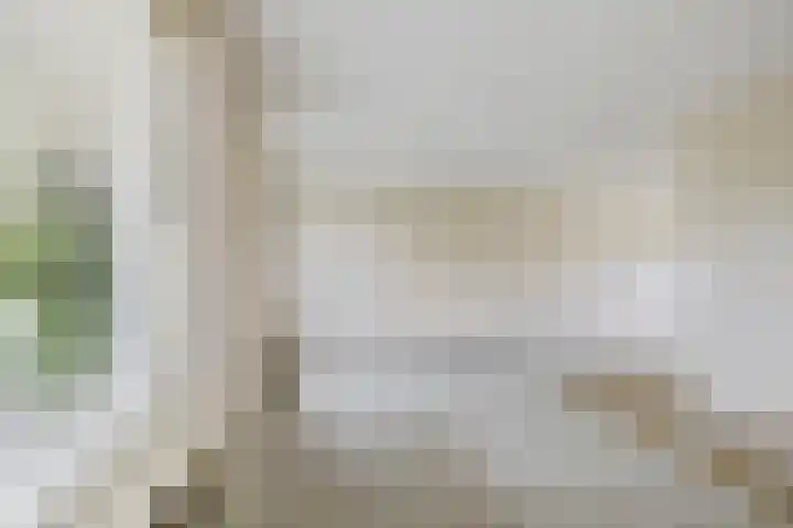 Kastanjeleane 53 Stiens thumbnail 6