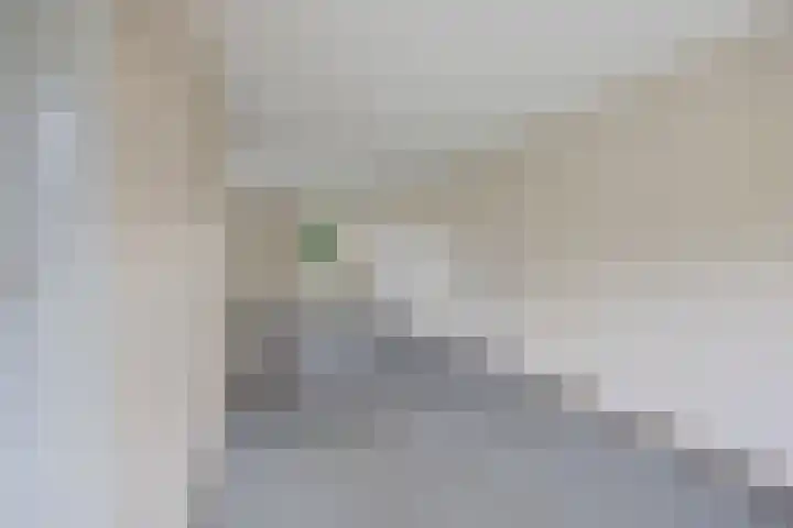 Kastanjeleane 53 Stiens thumbnail 8