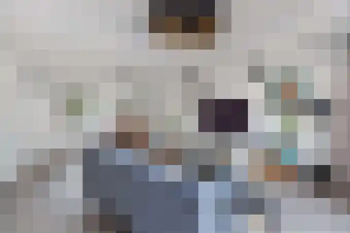 Kastanjeleane 66 A Lemmer thumbnail 10