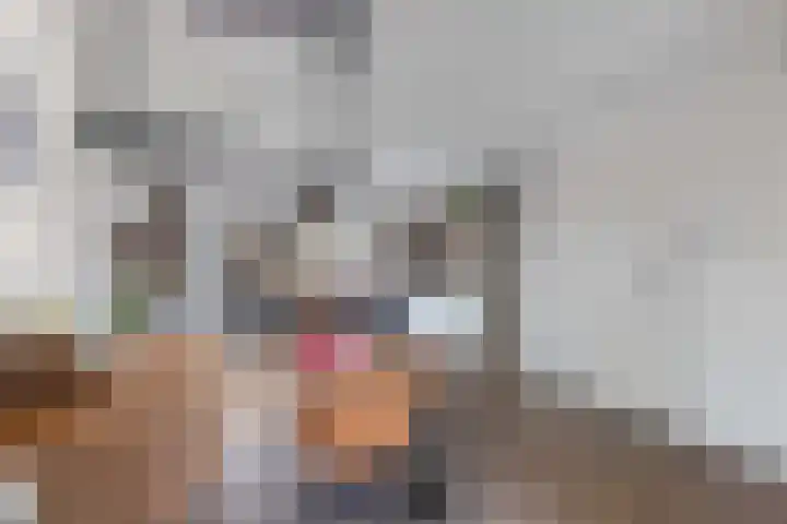 Kastanjeleane 66 A Lemmer thumbnail 13