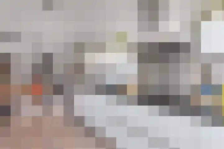 Kastanjeleane 66 A Lemmer thumbnail 16
