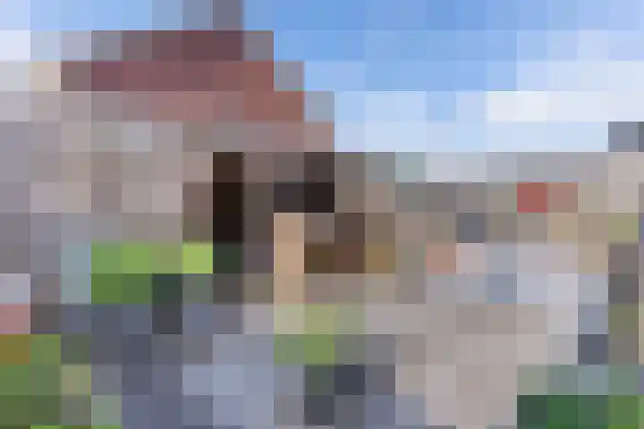 Kastanjeleane 66 A Lemmer thumbnail 20