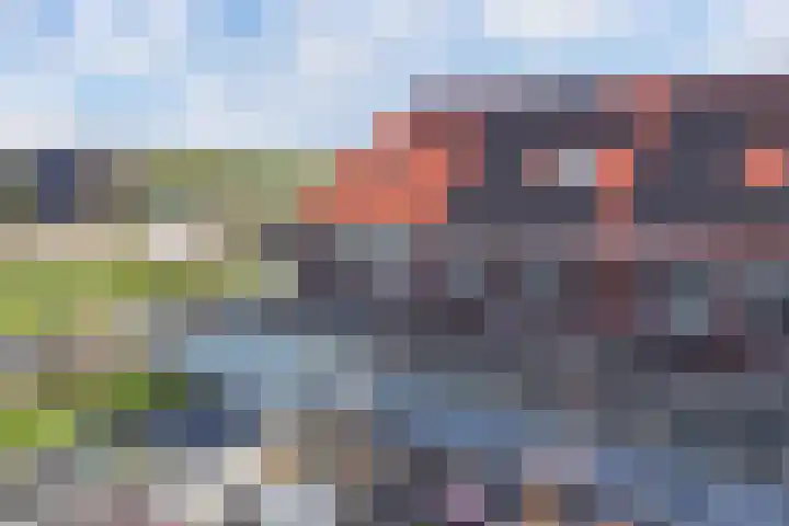 Kastanjeleane 66 A Lemmer thumbnail 24