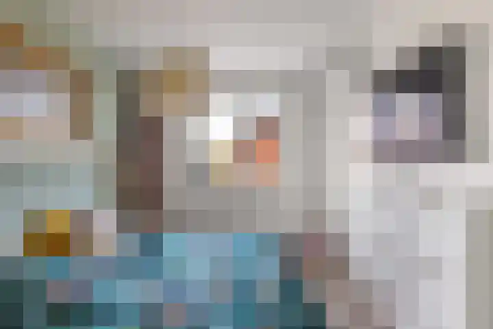 Kastanjeleane 66 A Lemmer thumbnail 28
