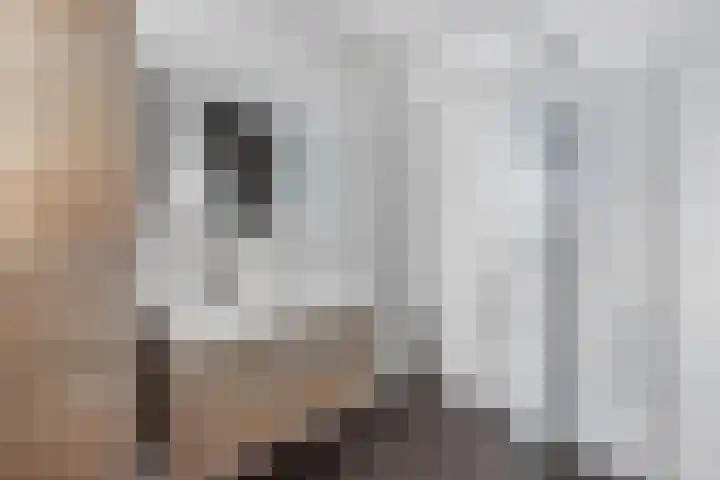 Kastanjeleane 66 A Lemmer thumbnail 32
