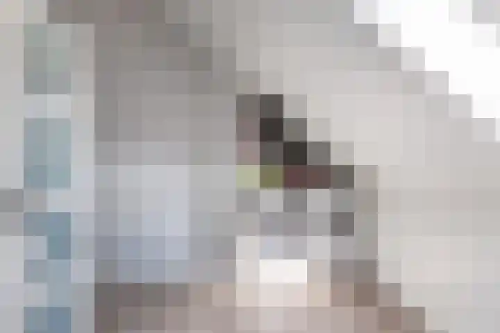 Kastanjeleane 66 A Lemmer thumbnail 34