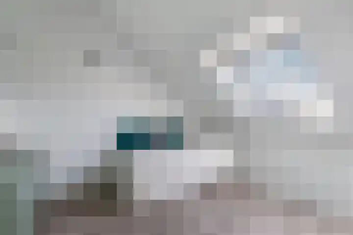 Kastanjeleane 66 A Lemmer thumbnail 35