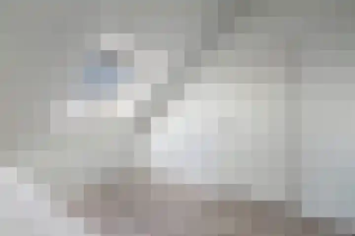 Kastanjeleane 66 A Lemmer thumbnail 36