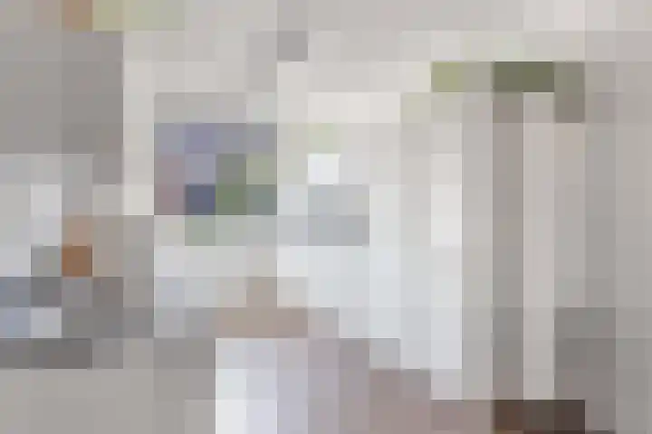 Kastanjeleane 66 A Lemmer thumbnail 4
