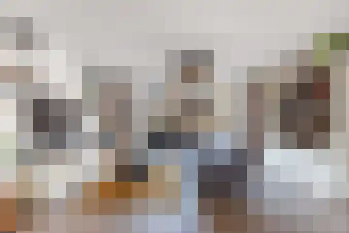 Kastanjeleane 66 A Lemmer thumbnail 7