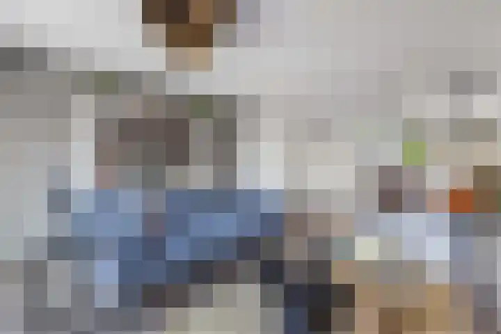 Kastanjeleane 66 A Lemmer thumbnail 8