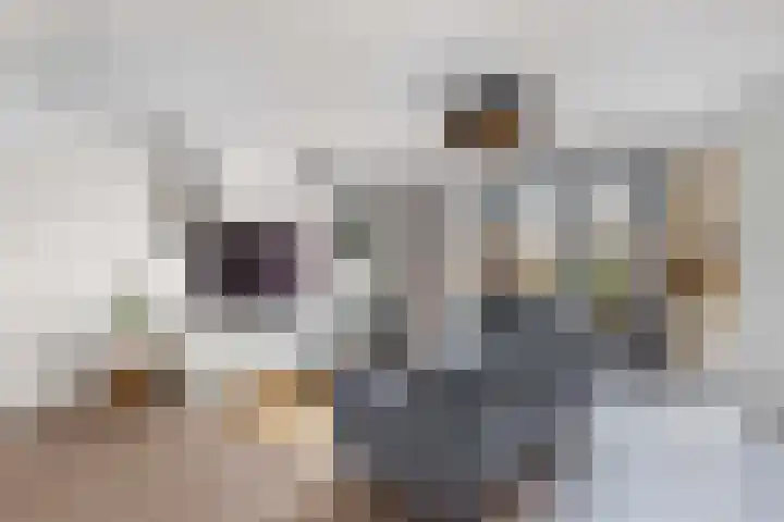Kastanjeleane 66 A Lemmer thumbnail 9
