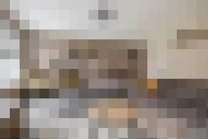 Kastanjeleane 77 Lemmer thumbnail 10