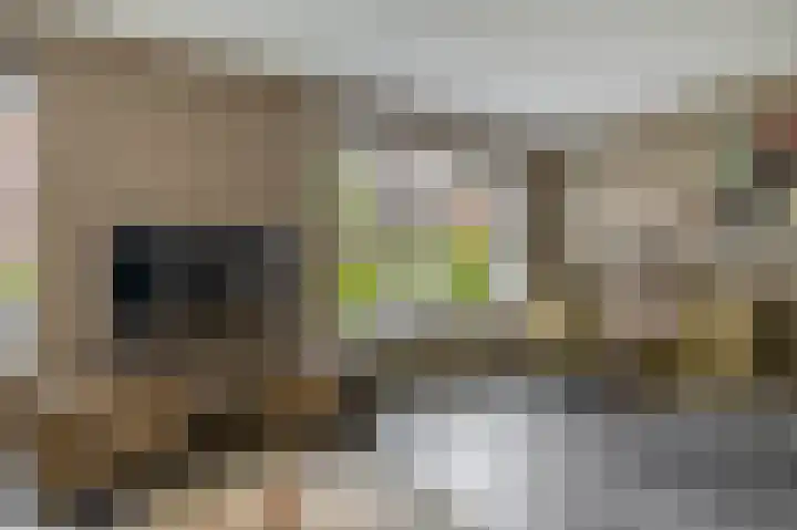 Kastanjeleane 77 Lemmer thumbnail 11