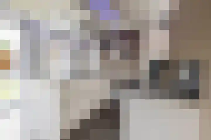 Kastanjeleane 77 Lemmer thumbnail 14