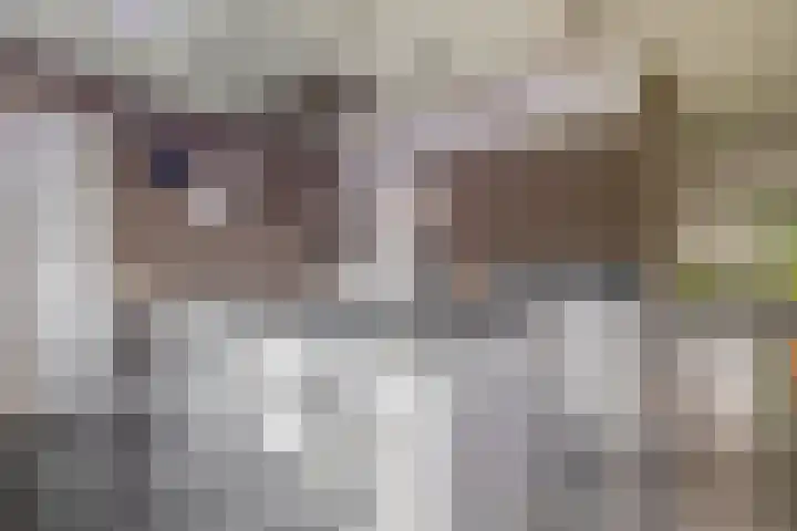 Kastanjeleane 77 Lemmer thumbnail 15