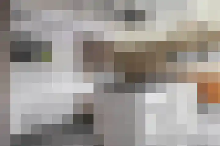 Kastanjeleane 77 Lemmer thumbnail 16