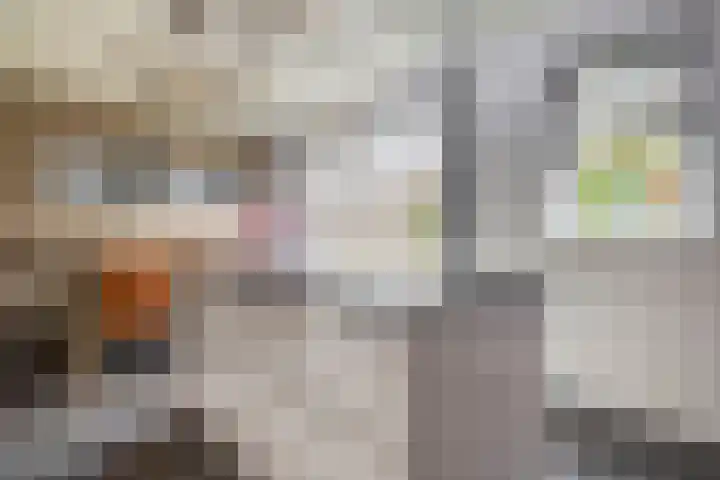 Kastanjeleane 77 Lemmer thumbnail 18