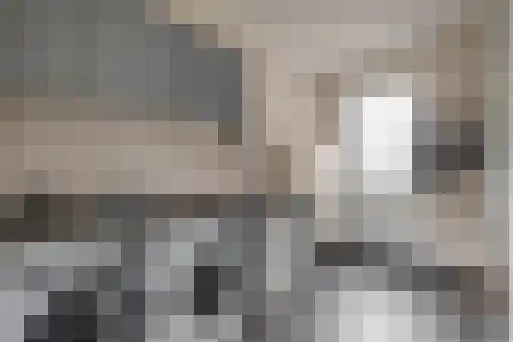 Kastanjeleane 77 Lemmer thumbnail 19