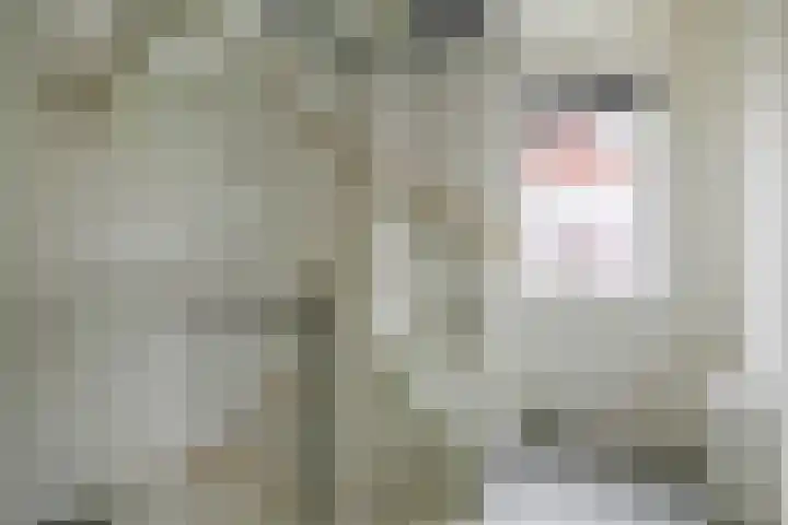 Kastanjeleane 77 Lemmer thumbnail 20