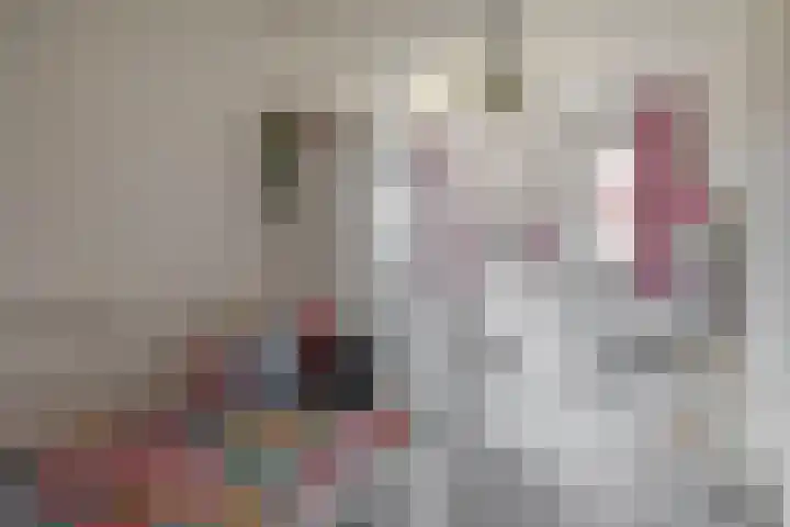 Kastanjeleane 77 Lemmer thumbnail 21