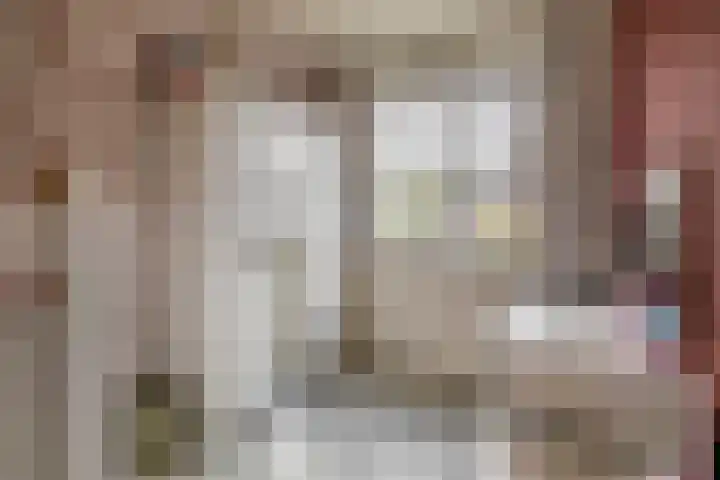 Kastanjeleane 77 Lemmer thumbnail 22