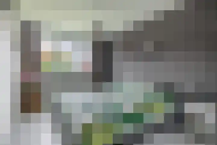 Kastanjeleane 77 Lemmer thumbnail 24