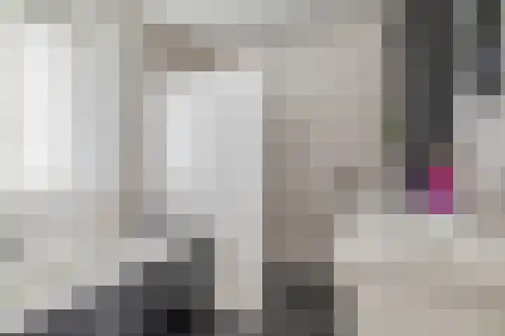 Kastanjeleane 77 Lemmer thumbnail 26