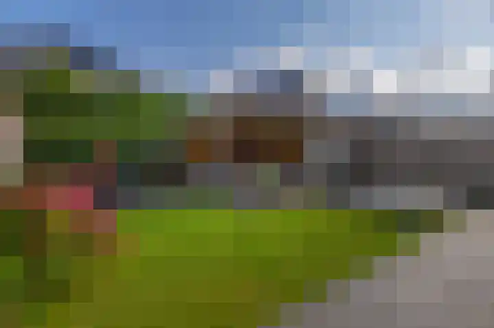 Kastanjeleane 77 Lemmer thumbnail 31