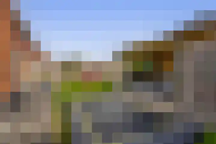 Kastanjeleane 77 Lemmer thumbnail 32