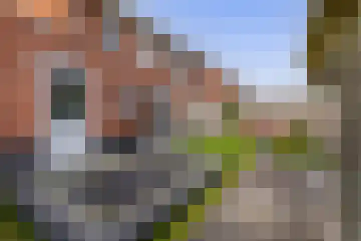 Kastanjeleane 77 Lemmer thumbnail 33