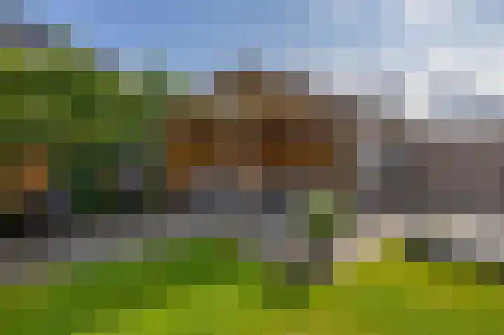 Kastanjeleane 77 Lemmer thumbnail 34
