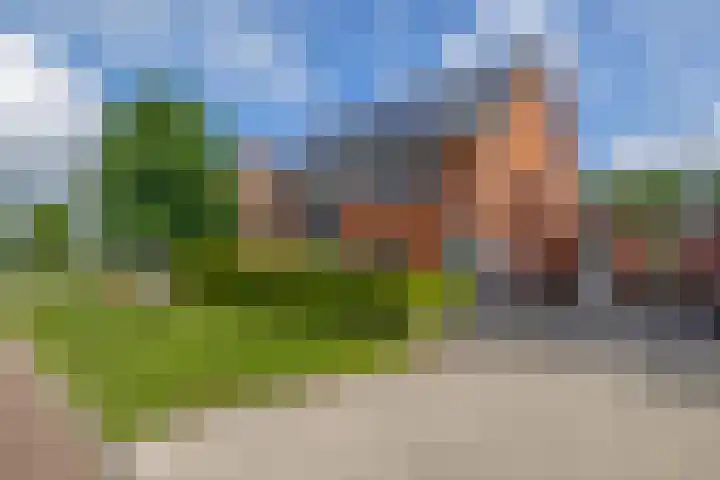 Kastanjeleane 77 Lemmer thumbnail 35