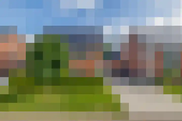 Kastanjeleane 77 Lemmer thumbnail 36