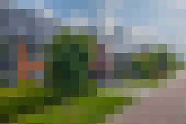 Kastanjeleane 77 Lemmer thumbnail 38