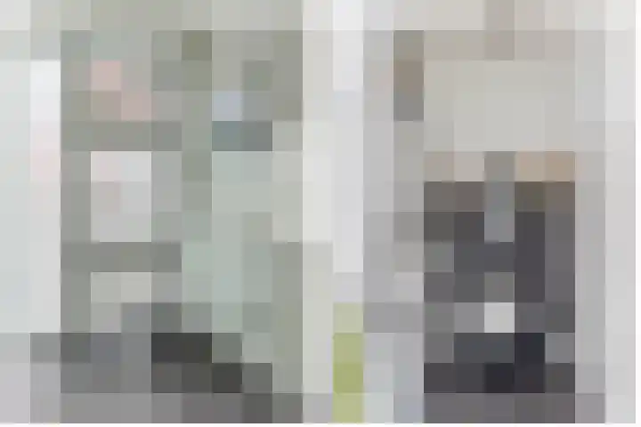 Kastanjeleane 77 Lemmer thumbnail 4