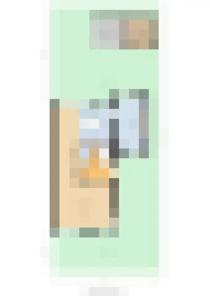 Kastanjeleane 77 Lemmer thumbnail 47