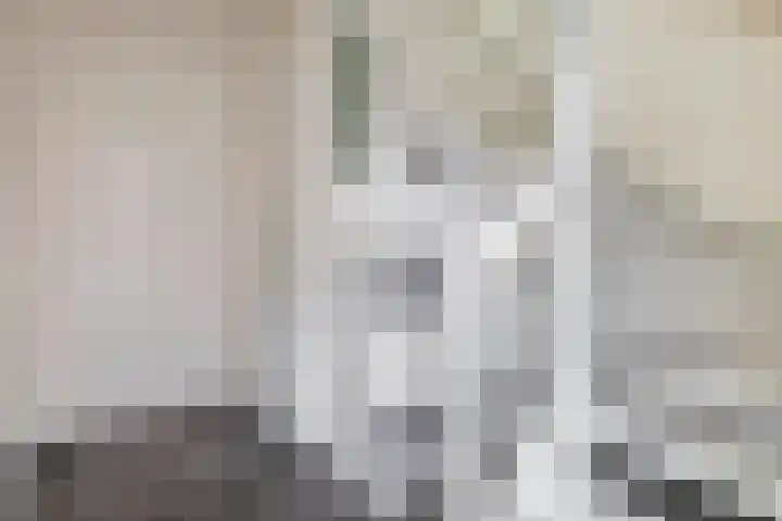 Kastanjeleane 77 Lemmer thumbnail 5