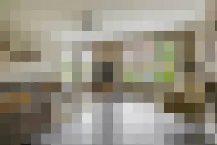 Kastanjeleane 77 Lemmer thumbnail 6