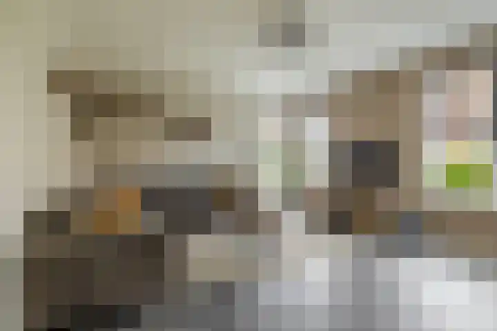 Kastanjeleane 77 Lemmer thumbnail 7