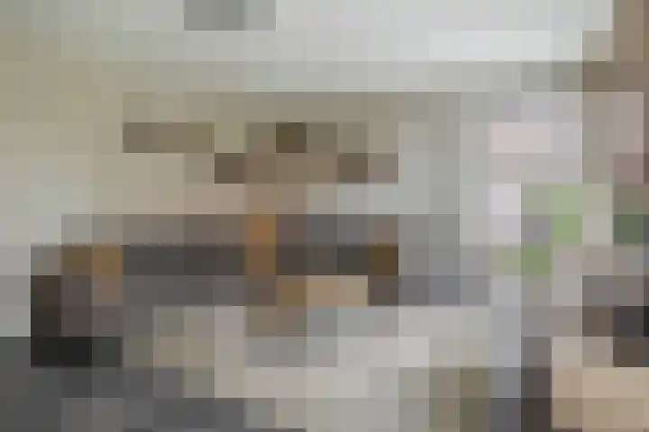 Kastanjeleane 77 Lemmer thumbnail 8