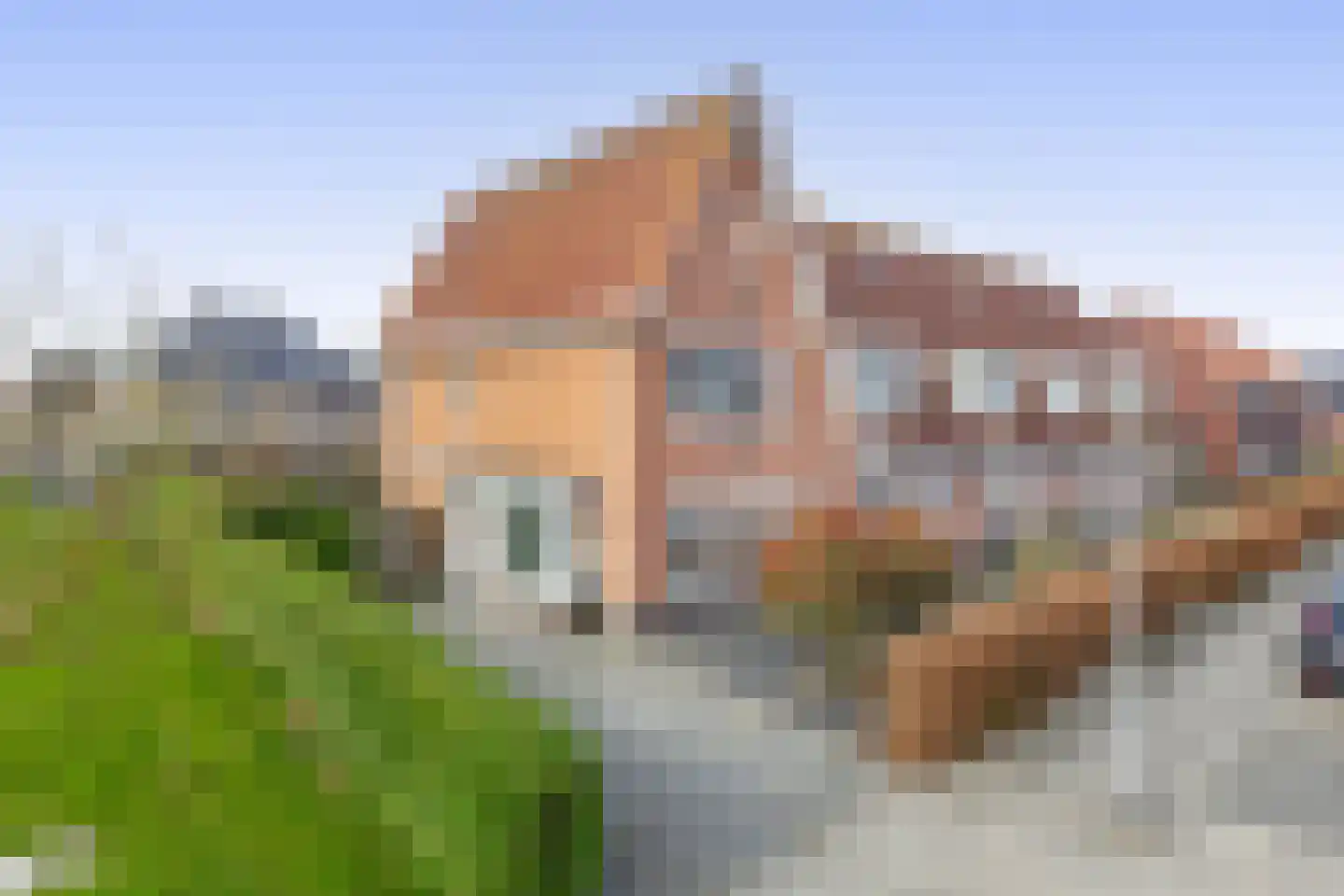 Kastanjeleane 78 Lemmer